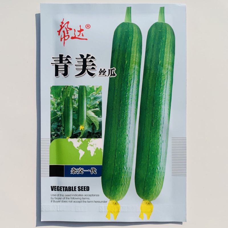 帮达青美丝瓜种子油亮清香丝瓜种籽丝瓜种子帮达青美丝瓜