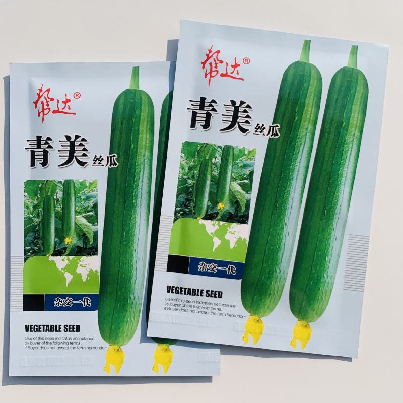 帮达青美丝瓜种子油亮清香丝瓜种籽丝瓜种子帮达青美丝瓜