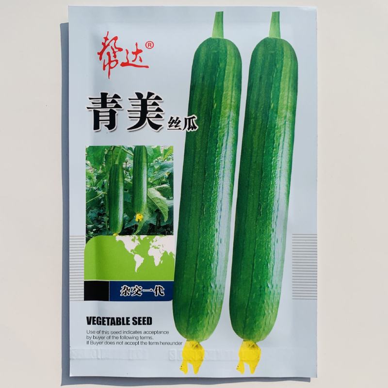 帮达青美丝瓜种子油亮清香丝瓜种籽丝瓜种子帮达青美丝瓜