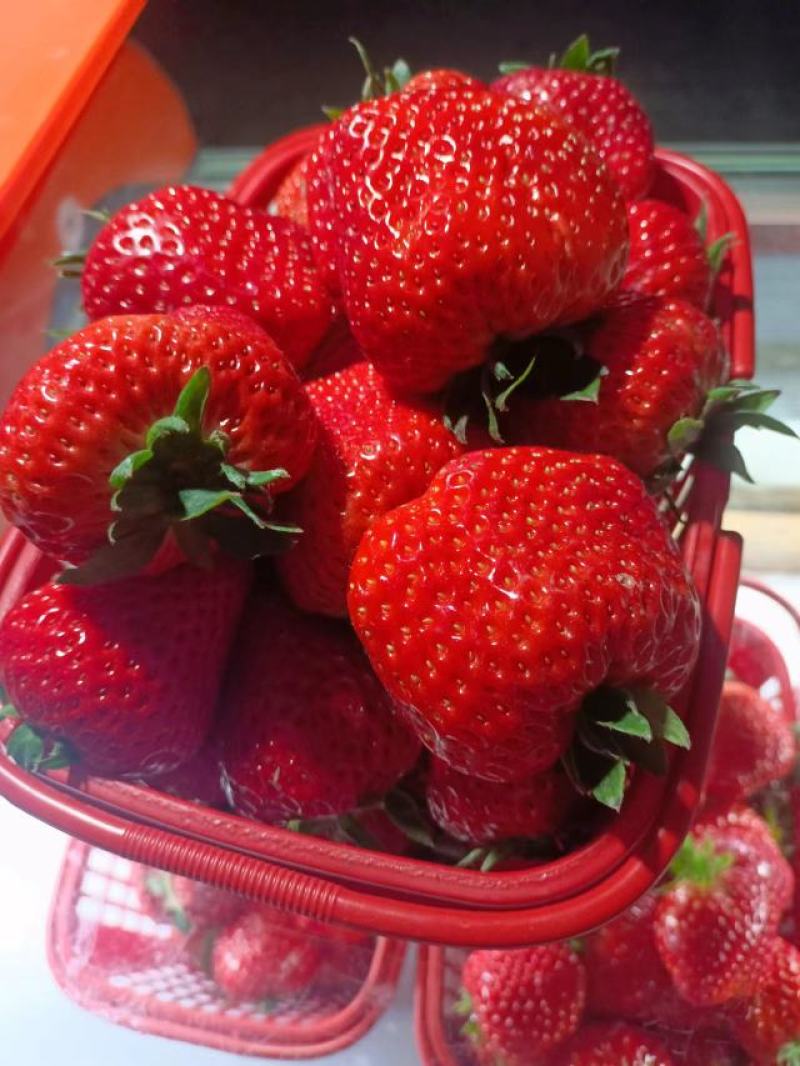 奶油红颜草莓