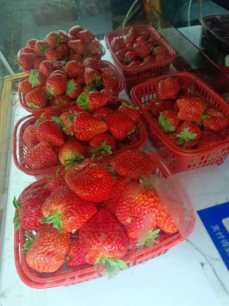 奶油红颜草莓