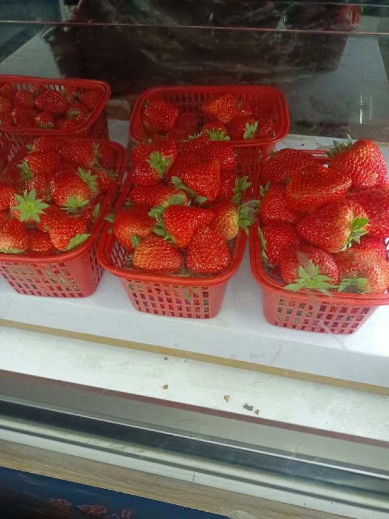 奶油红颜草莓