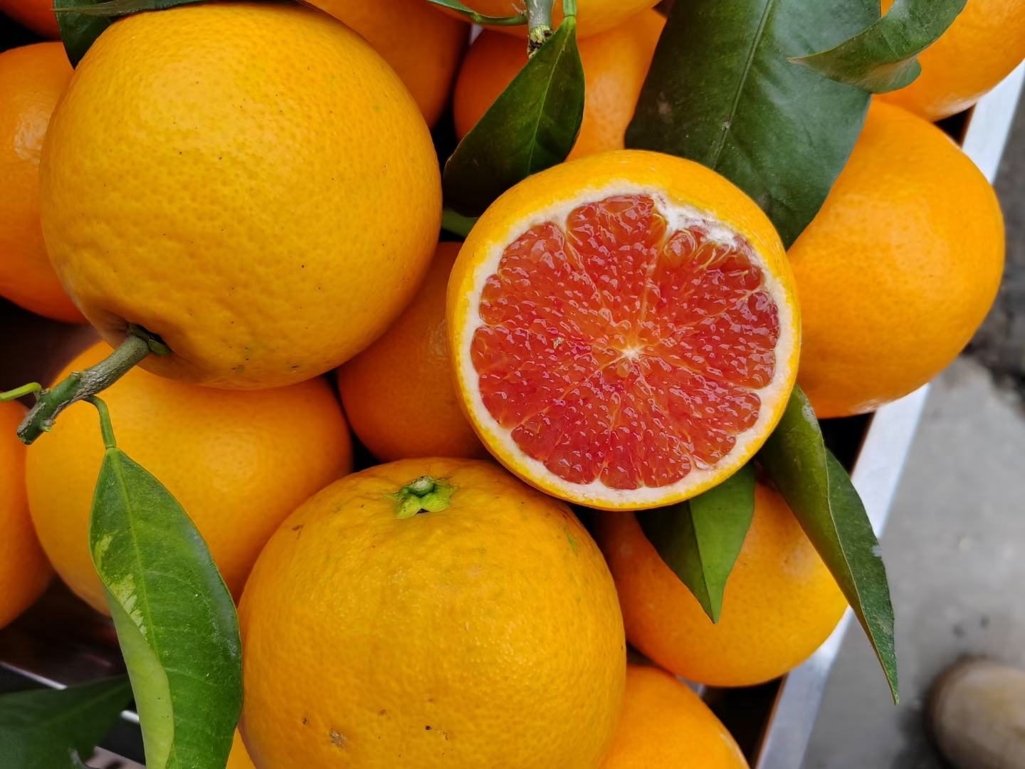 一张对比展示图,左侧为金桔,右侧分别为橙子、柠檬、柚子,大小比例真实还原,标注各水果名称及维生素C含量mg/100g,突出金桔在冬季水果中的营养优势,背景为木质餐桌,营造健康饮食科普氛围 金桔与其他柑橘类水果对比图