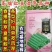 信研豇山首富豇豆种子中早熟耐寒耐热青翠绿长豆角豇豆种子