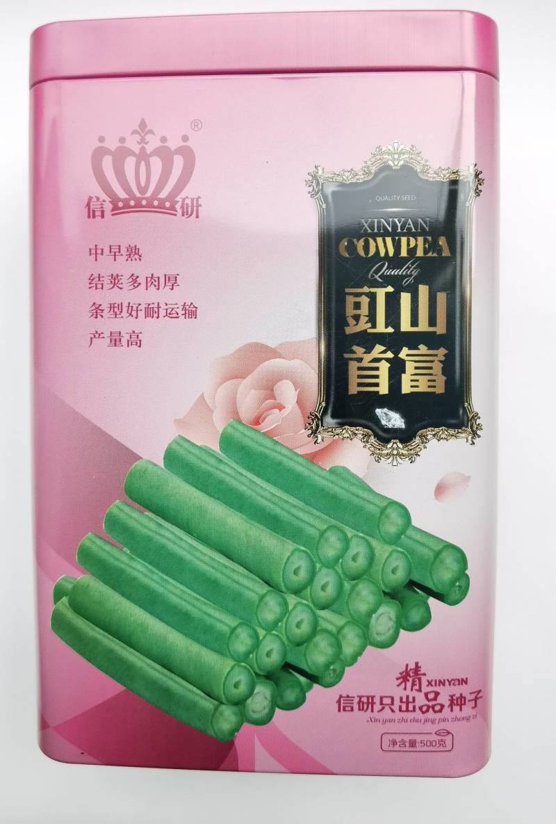 信研豇山首富豇豆种子中早熟耐寒耐热青翠绿长豆角豇豆种子
