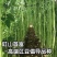 信研豇山首富豇豆种子中早熟耐寒耐热青翠绿长豆角豇豆种子