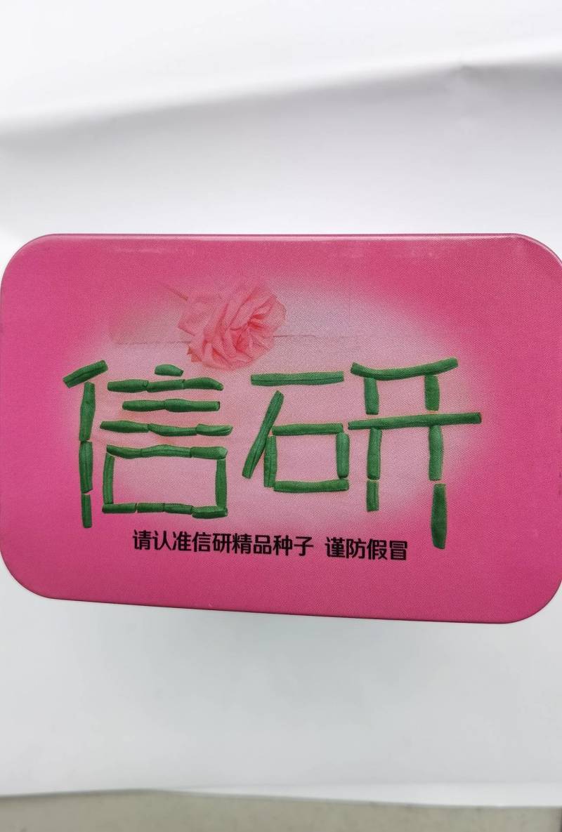 信研豇山首富豇豆种子中早熟耐寒耐热青翠绿长豆角豇豆种子
