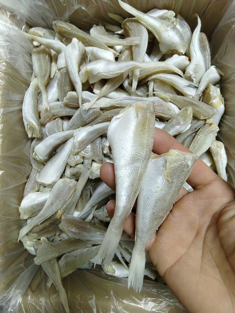 优质.白鳞鱼干.鳞鱼肉.生晒白鳞鱼可跑地摊