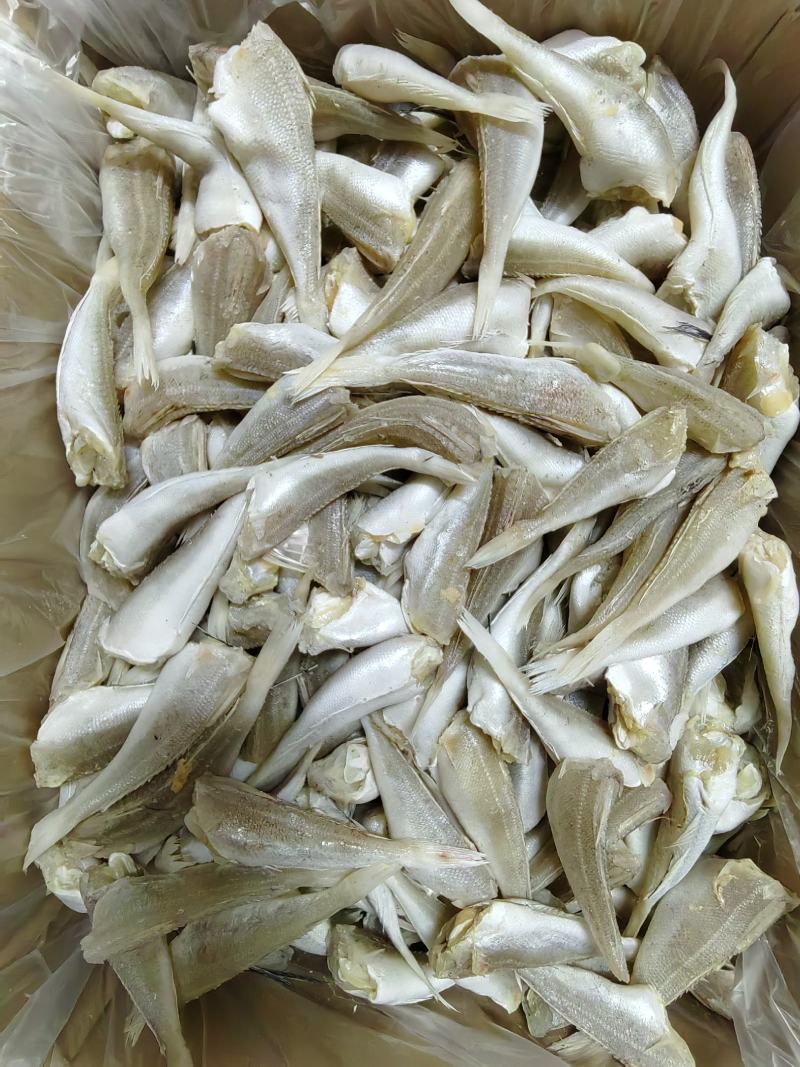 优质.白鳞鱼干.鳞鱼肉.生晒白鳞鱼可跑地摊