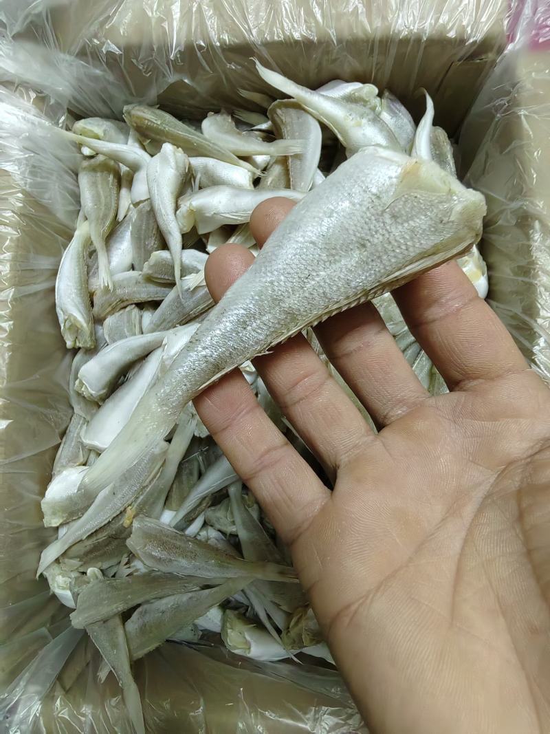 优质.白鳞鱼干.鳞鱼肉.生晒白鳞鱼可跑地摊