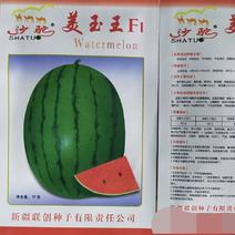 美玉王礼品西瓜种子皮薄含糖量高4~5斤口感好商品性强