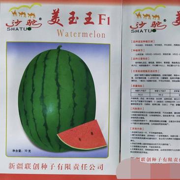 美玉王礼品西瓜种子皮薄含糖量高4~5斤口感好商品性强
