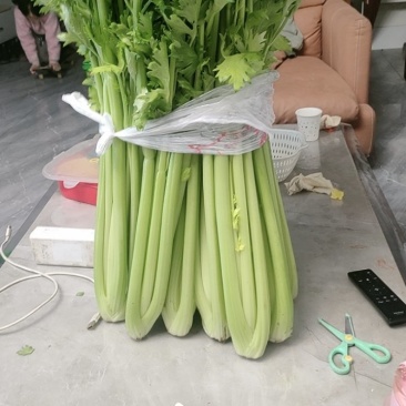 大芹菜