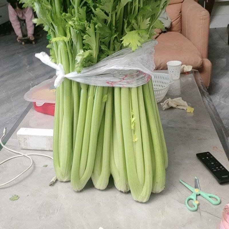 大芹菜