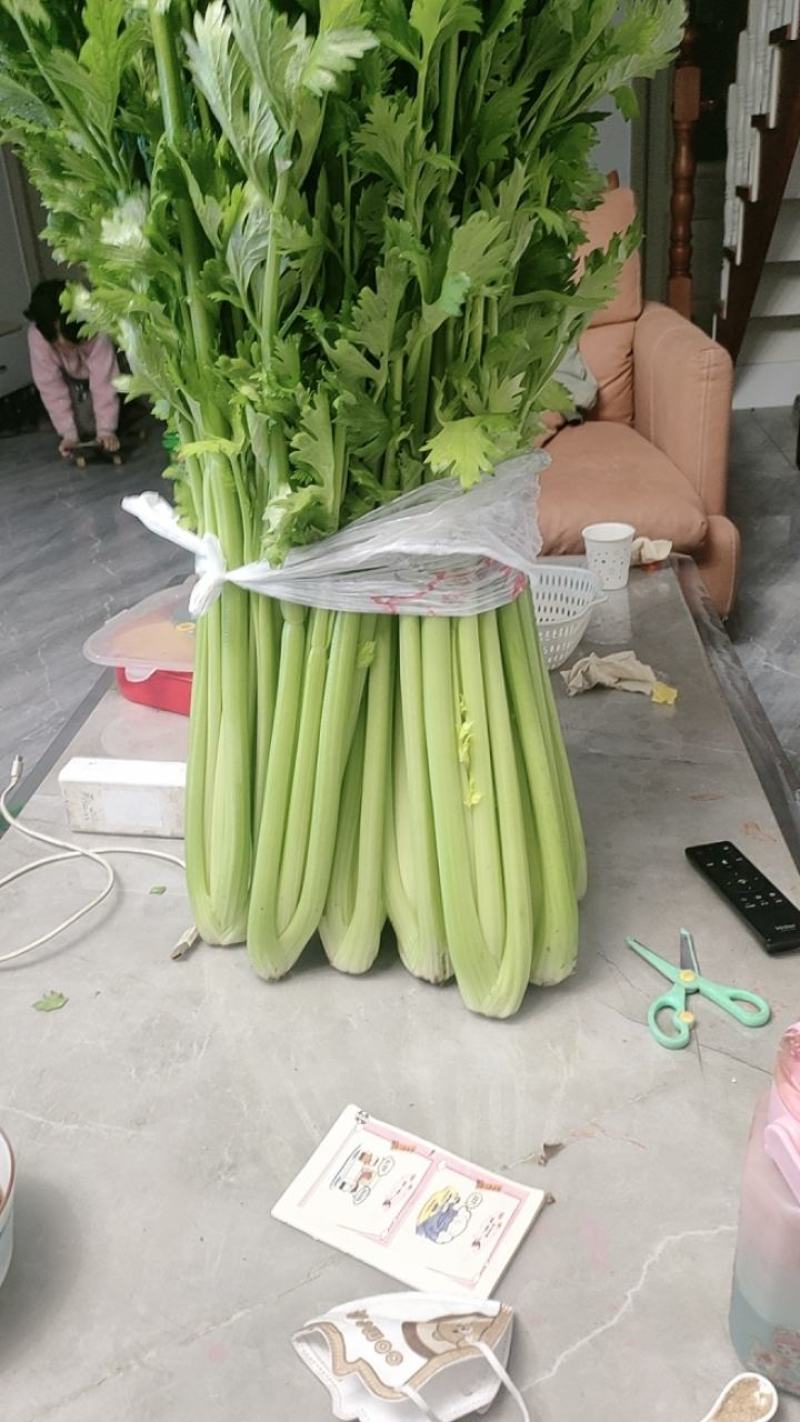 大芹菜