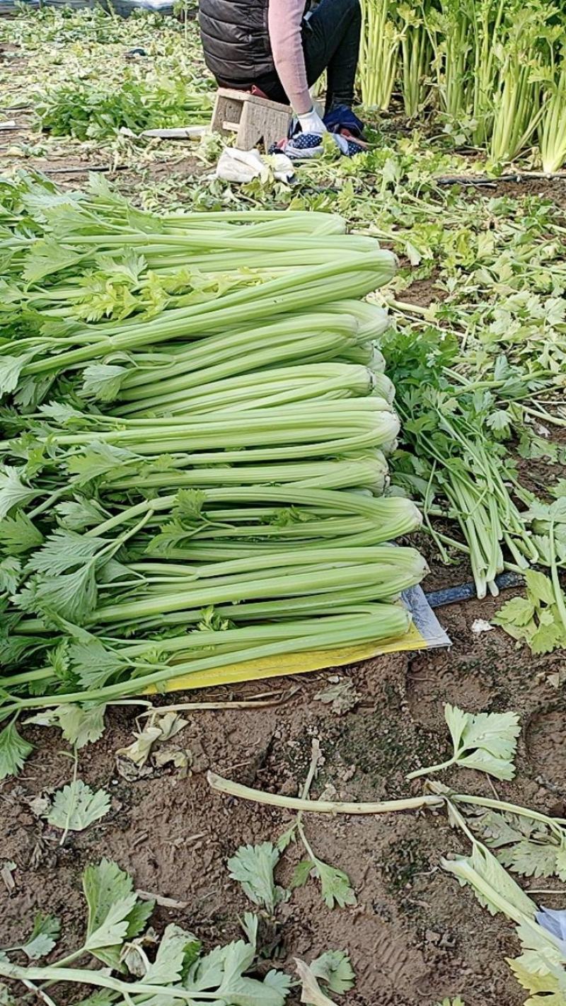 大芹菜
