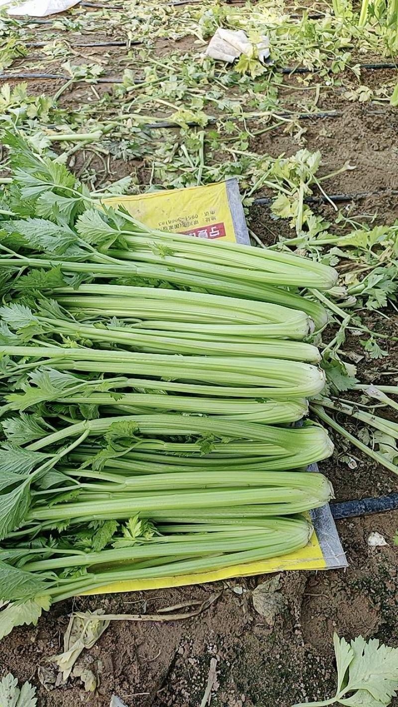 大芹菜