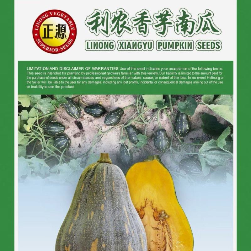香芋南瓜种子利农香芋南瓜肉质致密水份少味香品质好