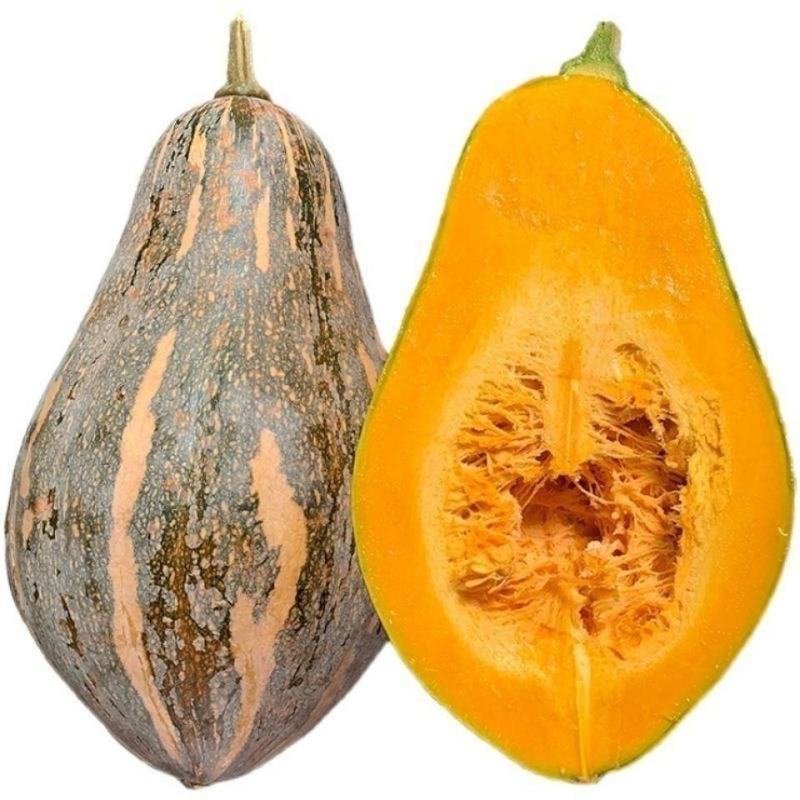 香芋南瓜种子利农香芋南瓜肉质致密水份少味香品质好