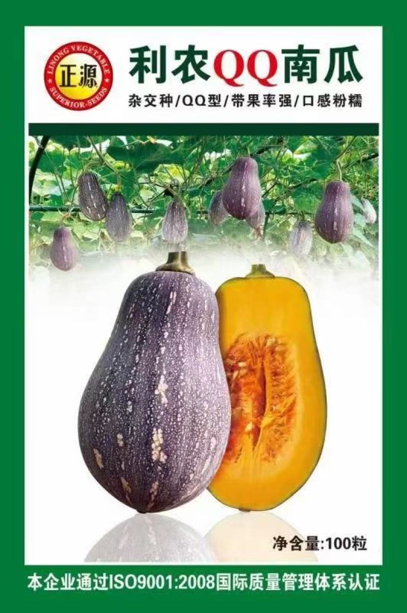 香芋南瓜种子利农香芋南瓜肉质致密水份少味香品质好