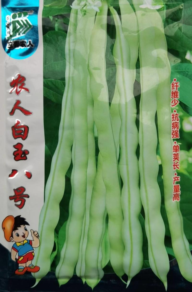 白玉八号芸豆种子白荚四季豆架豆种子无筋高产早熟长豆角种子