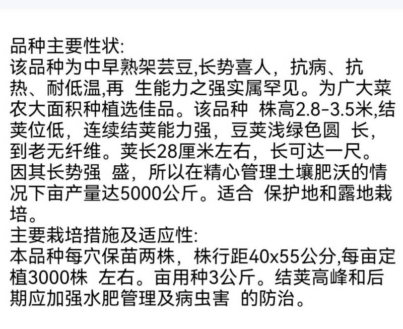 白玉八号芸豆种子白荚四季豆架豆种子无筋高产早熟长豆角种子