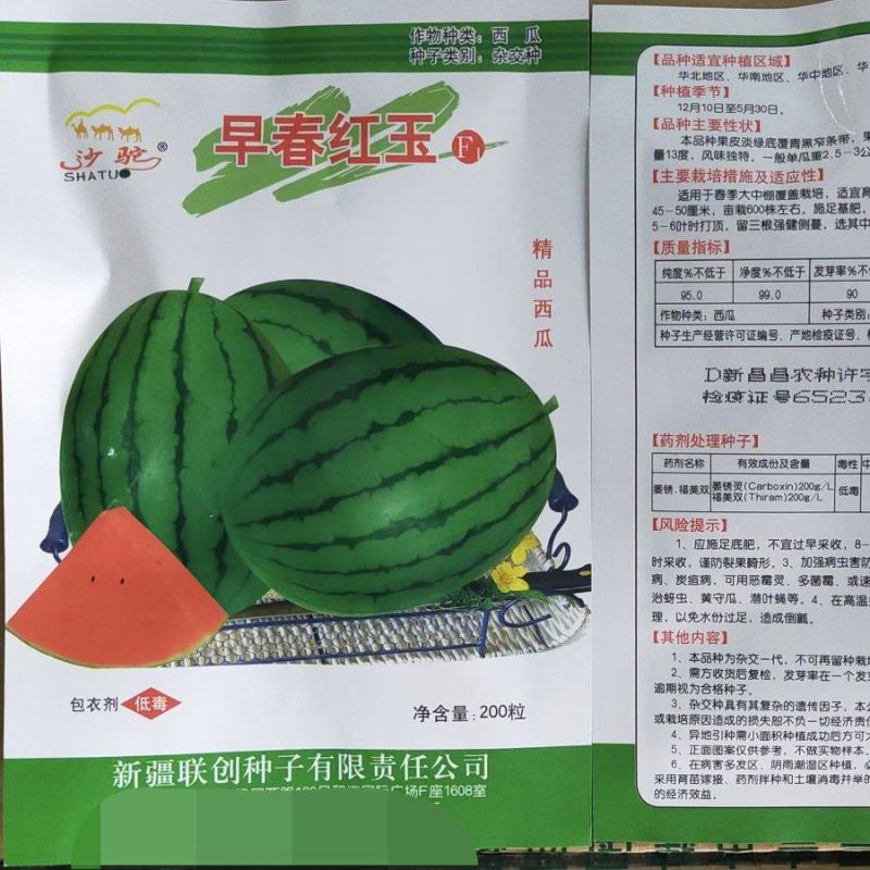 早春红玉F1西瓜种子易管理商品性强口感好含糖量高皮薄