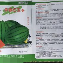 早春红玉F1西瓜种子易管理商品性强口感好含糖量高皮薄
