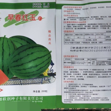 早春红玉F1西瓜种子易管理商品性强口感好含糖量高皮薄