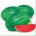 早春红玉F1西瓜种子易管理商品性强口感好含糖量高皮薄
