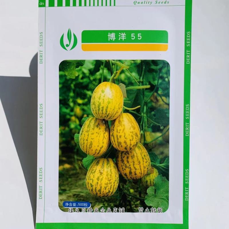 正宗博洋甜瓜种子黄皮白肉覆浅绿花斑博洋55甜瓜种子香甜