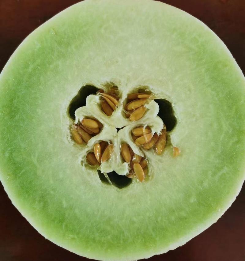 甄香玉甜瓜种子玉姑甜瓜种子糖度17%果皮淡绿白色肉绿