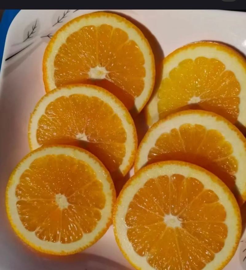崀山脐橙