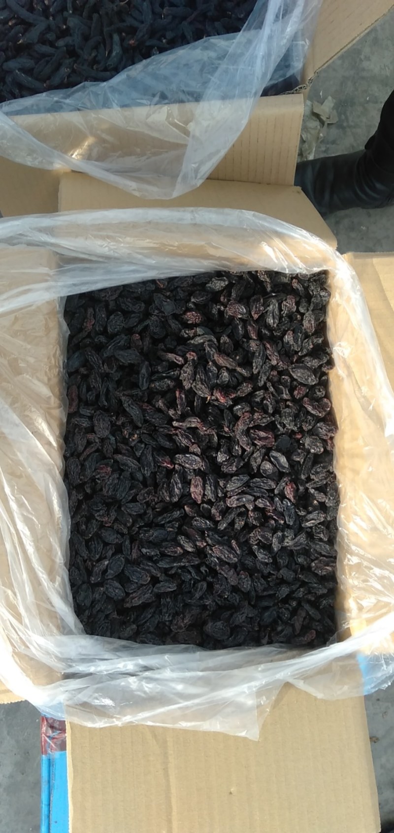 【优质】黑美人葡萄干新疆发往全国量大从优有需详谈视频看货