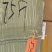 柳根［东北高山溪流冷水鱼］品质保证，长期供货，稳定价格。