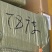 柳根［东北高山溪流冷水鱼］品质保证，长期供货，稳定价格。