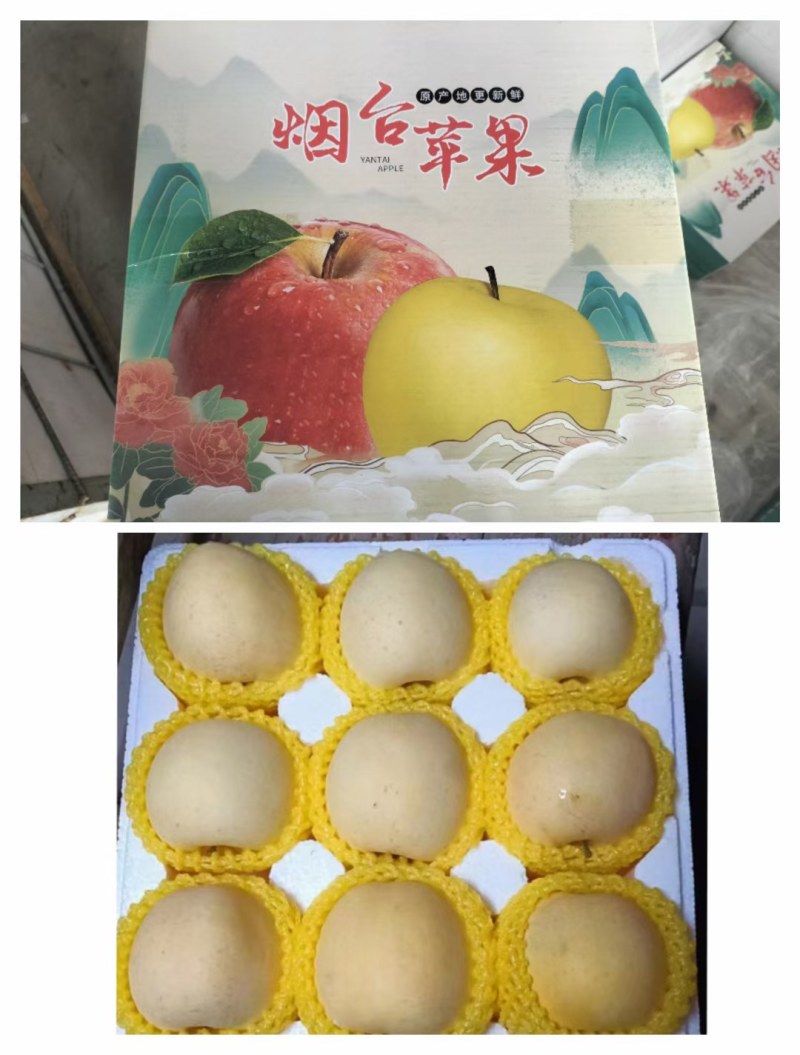 维纳斯苹果冷库大量现货！