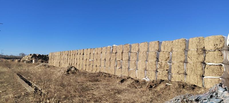 玉米结秆揉丝大方包产地吉林省白城结秆加工的产品。