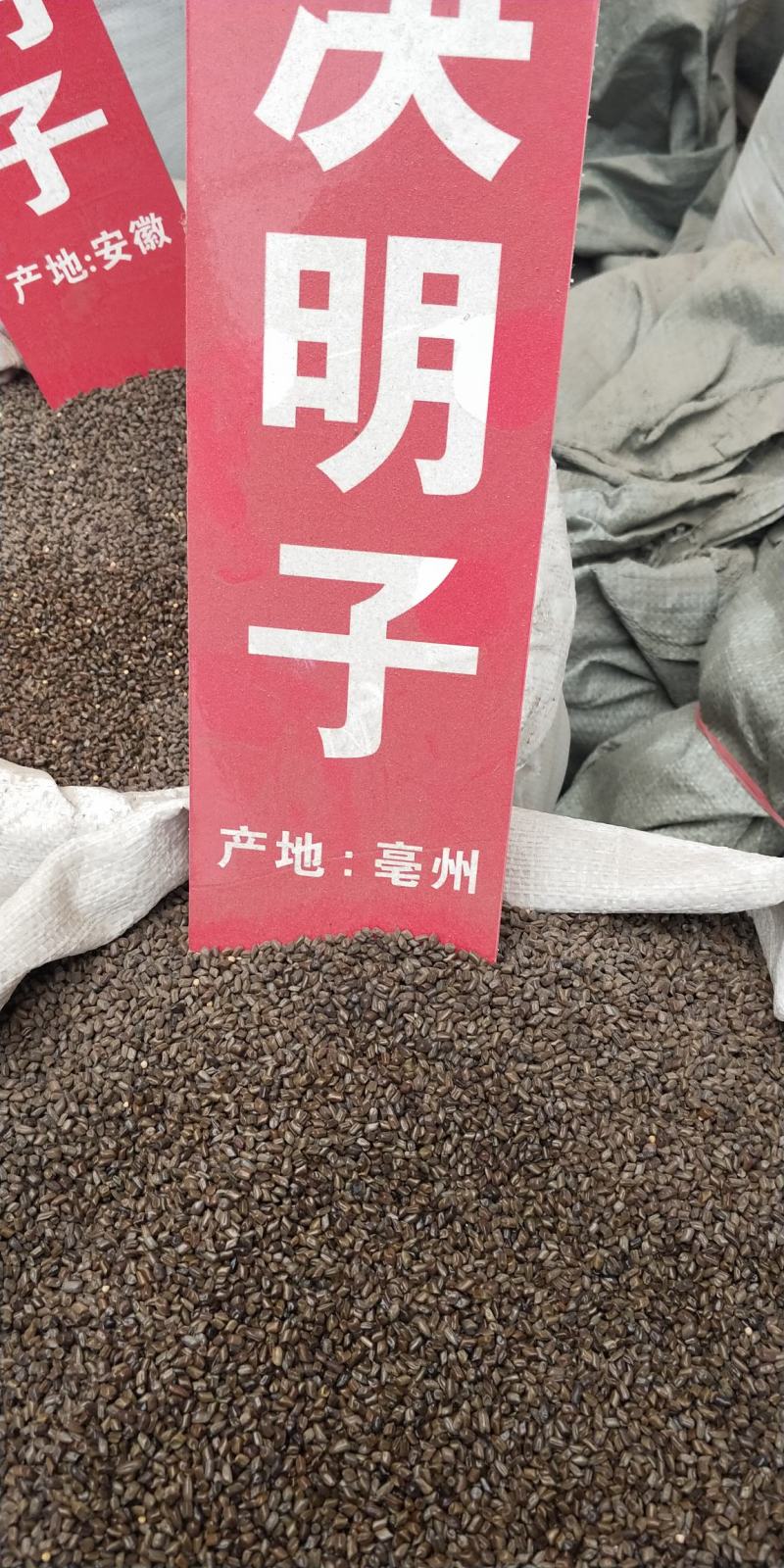 高品质决明子安徽河南本地产中药材大量供应支持验货