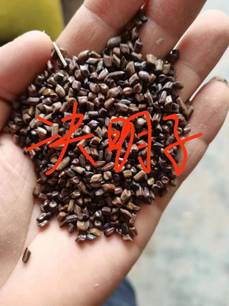 高品质决明子安徽河南本地产中药材大量供应支持验货