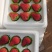 久久草莓现摘现发保质保量价格美丽