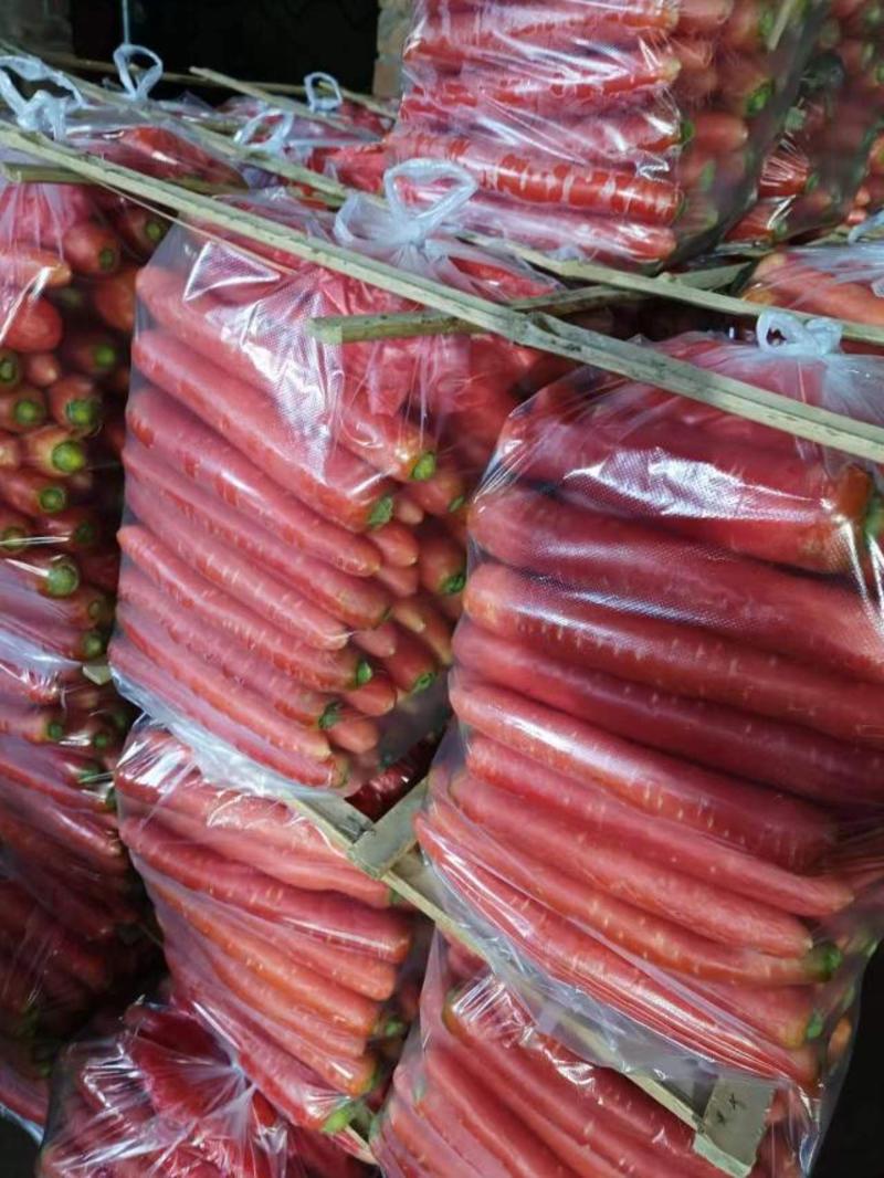 秤杆红萝卜水果胡萝卜货源足水洗加工商超社团供货