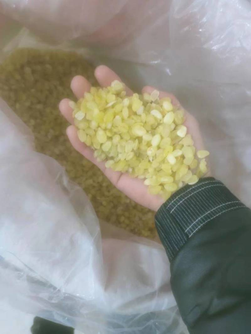 黄色大皂角米，质量保证，大量有货可视频看货欢迎订购