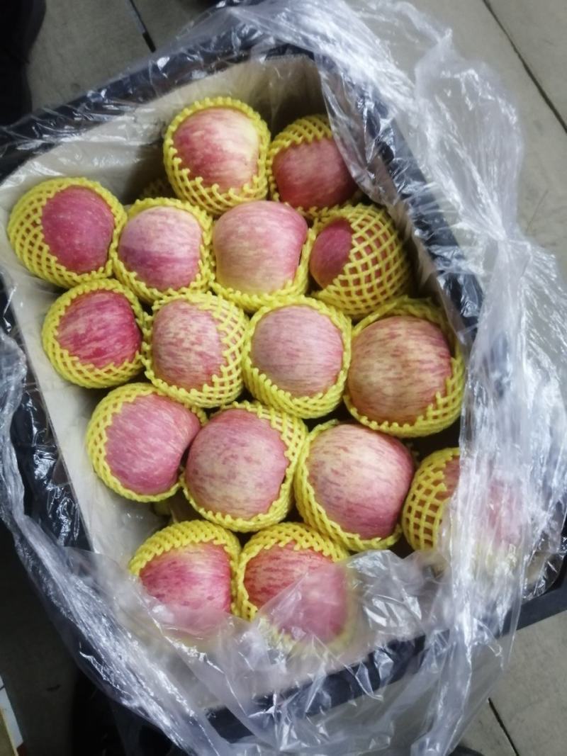 纸袋富士。甘肃通货，价格合理需要联系，商品，通货。高次都