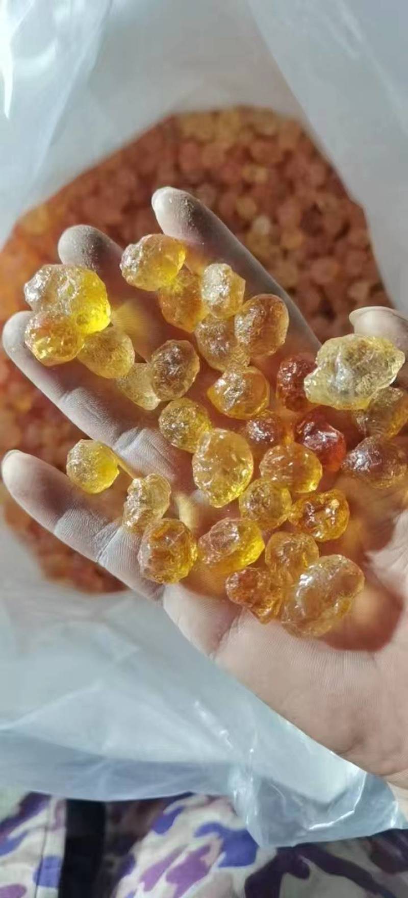 桃胶黄珍珠，大量有货，质量保证可视频看货欢迎订购