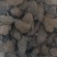 田鸡产地大量活体牛蛙肉多多水产田鸡现货现捞现发活物