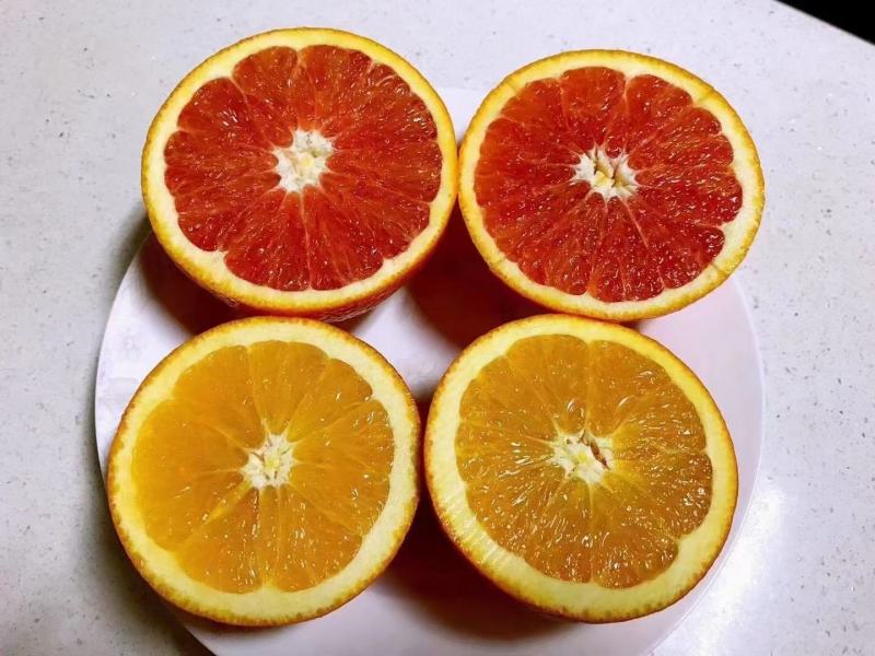 红心脐橙