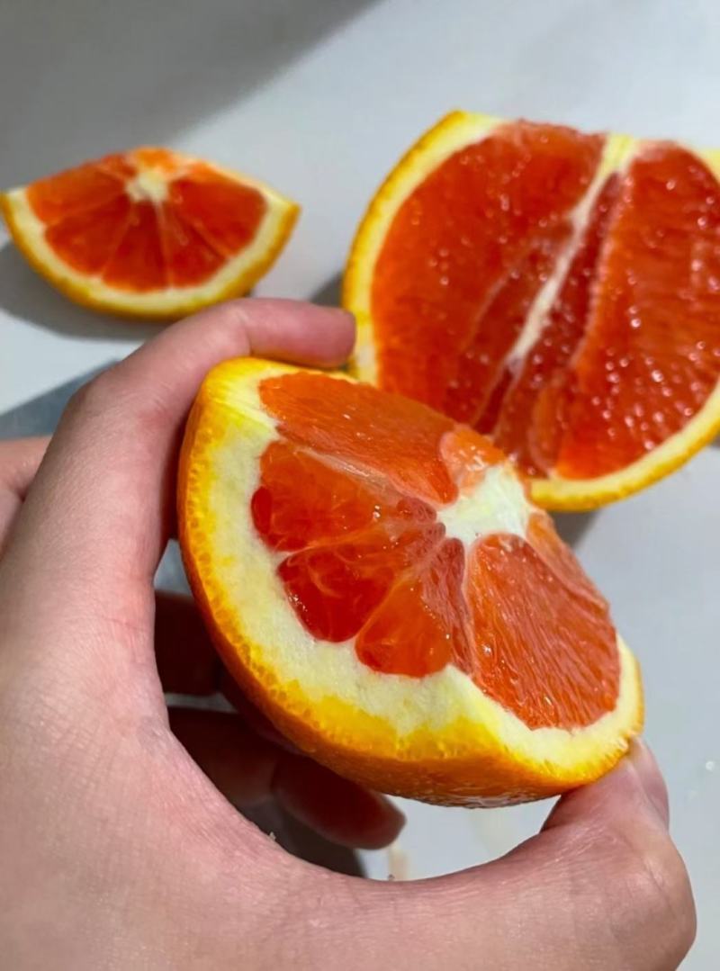 红心脐橙