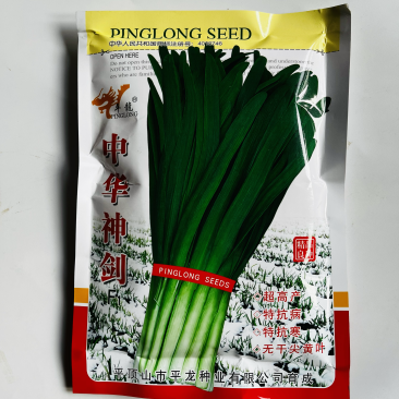 韭菜种子中华神剑韭菜品种，不休眠，深绿色韭菜品种种子