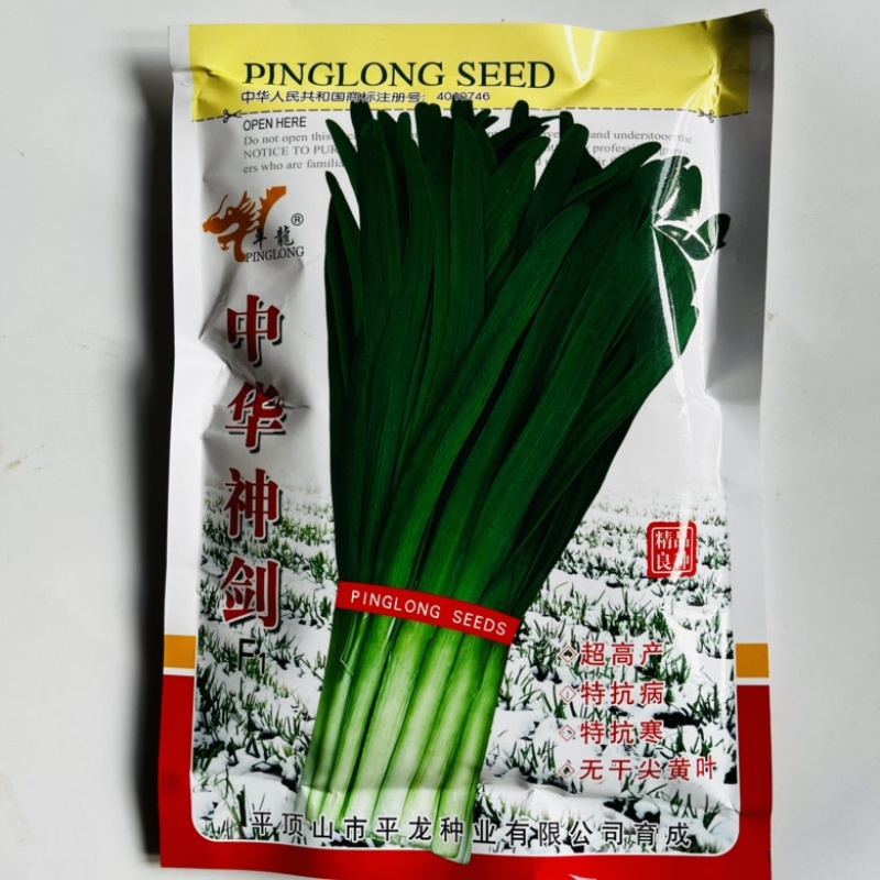 韭菜种子中华神剑韭菜品种，不休眠，深绿色韭菜品种种子